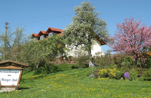 Apartment in Rotthalmünster with Private Terrace,Garden, BBQ