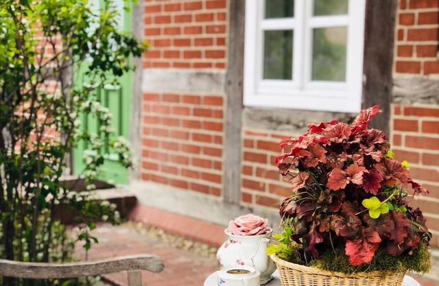 Apartment in Steimbke