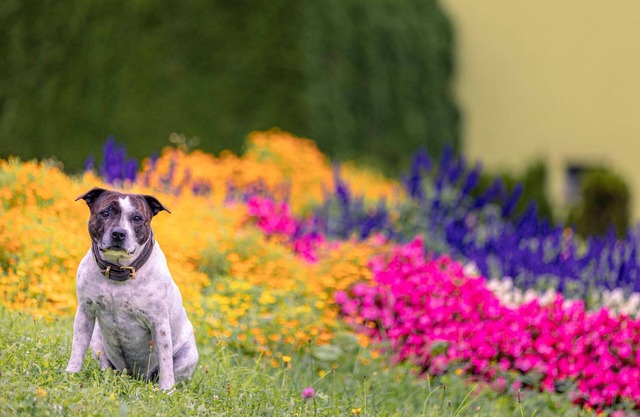 Apartment in Styria With Bubble Bath