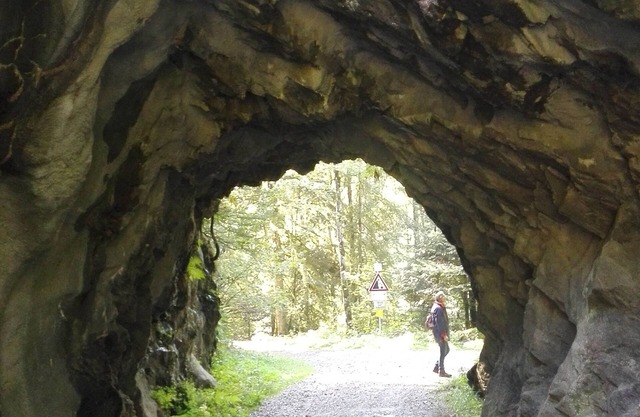 Apartment in the climatic health resort of Herrischried in the Hotzenwald