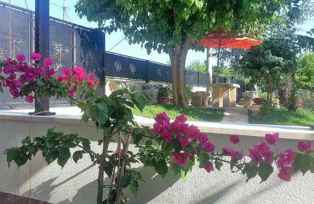 APARTMENT IRE '"enjoying nature with a beach holiday"