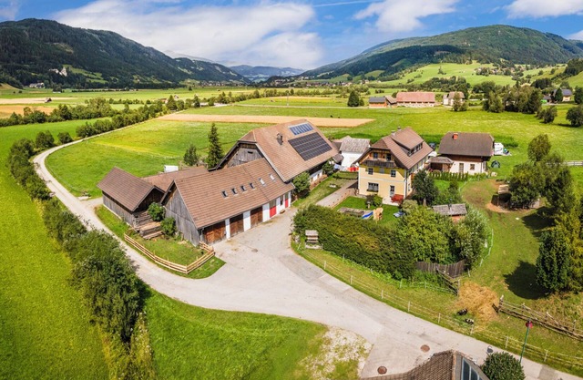 Apartment 'Meissnizter Dabauernhof - Seeblick' with Mountain View and Wi-Fi