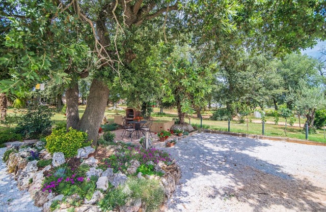 Apartment Nilda Valdi