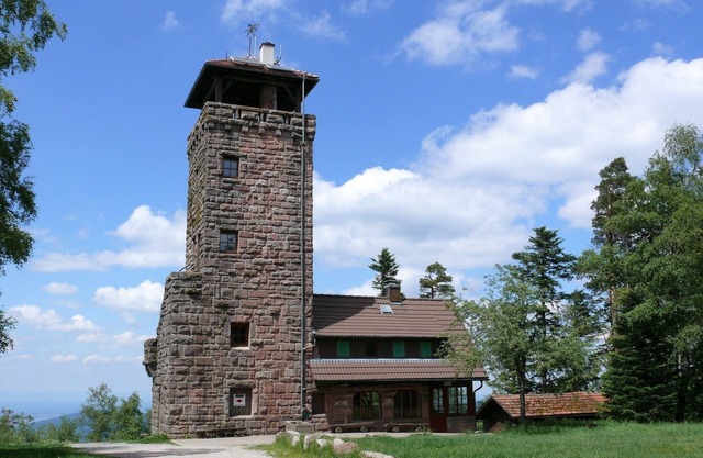 Apartment no. 2, 30sqm, 1 living/bedroom