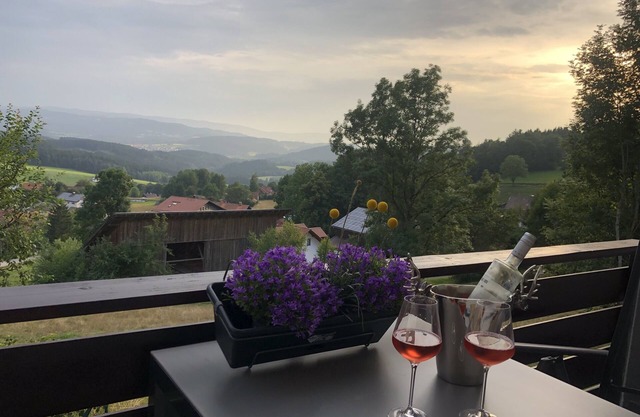 Apartment Panoramablick 2