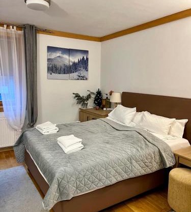 Apartment U150 - Aparthotel Vučko - Private Host