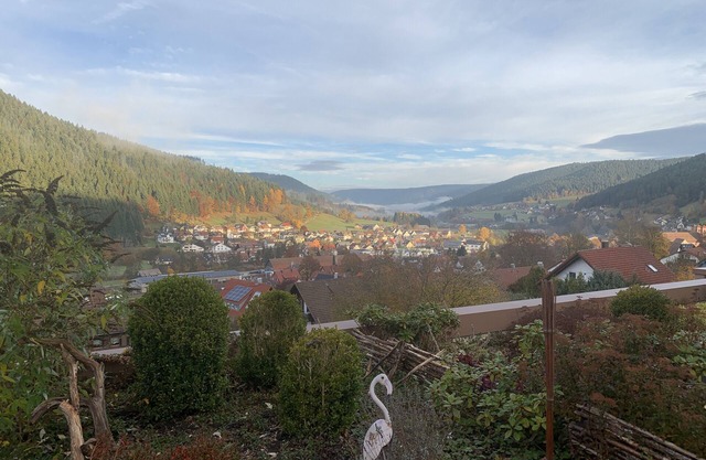 Apartment with a view