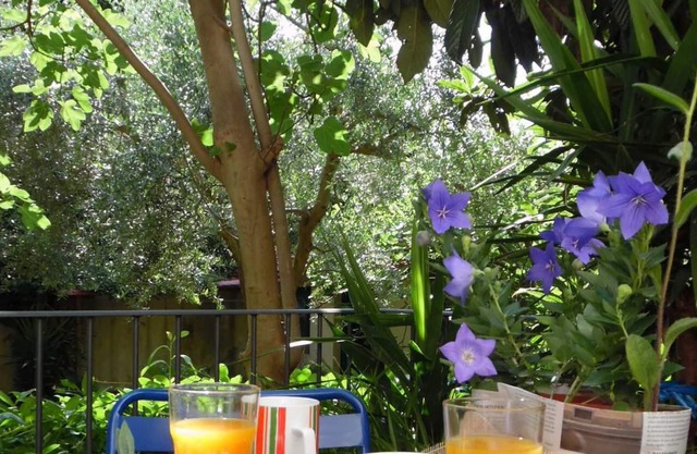Apartment with garden near the historic center