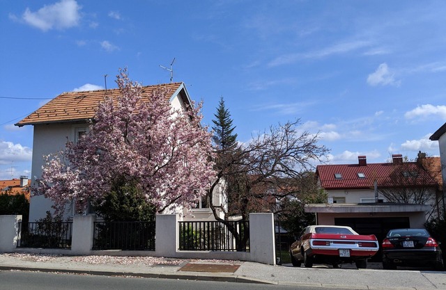 Apartment with New Amenities, Green Patio, BBQ, Parking & EV Charger in Maksimir