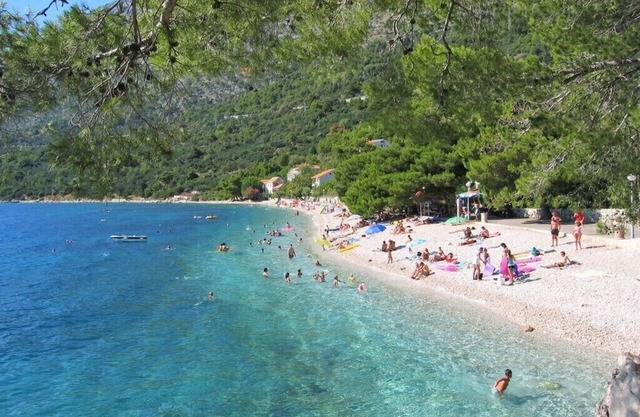 Apartments Čedomir, (11592), Živogošće, Croatia