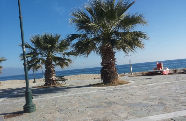 Apartments Camellia Nea Vrasna