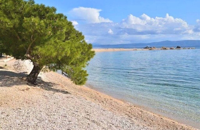 Apartments Jela, (13827), Makarska, hr