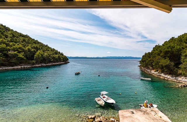 Apartments Villa Smokvina (11248-A6) - Bogomolje