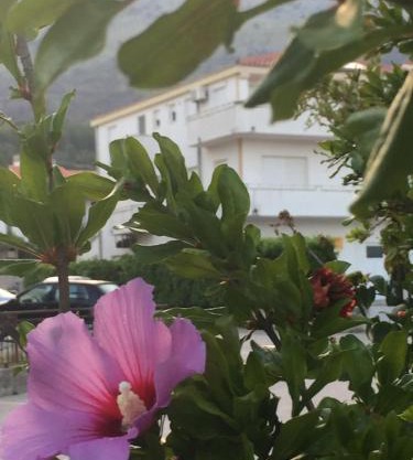 Apartments with a parking space Podstrana, Split - 16032