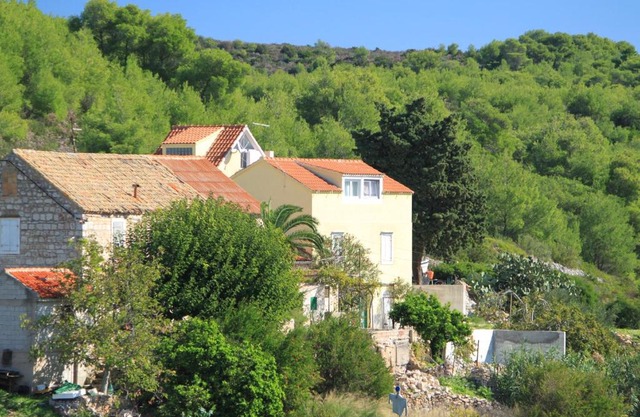 Apartments with a parking space Rukavac, Vis - 8851
