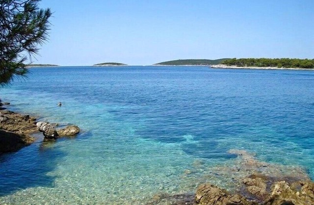 Apartments Zdenko, (14722), Maslinica, Croatia