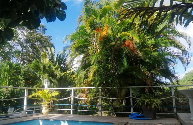 Appartement charmant à Rivière-Pilote avec piscine partagéeB