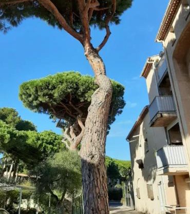 Appartement Confortable à Proximité de la Mer 45 m²