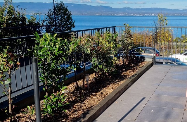 Appartement de Standing Evian-les-bains en Front de lac Léman