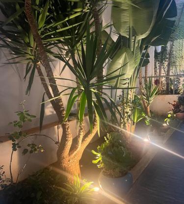 Appartement, Infinity