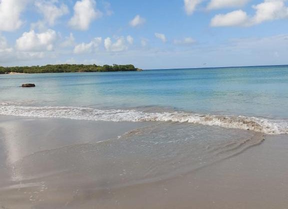 Appartements Residence Mahoghany