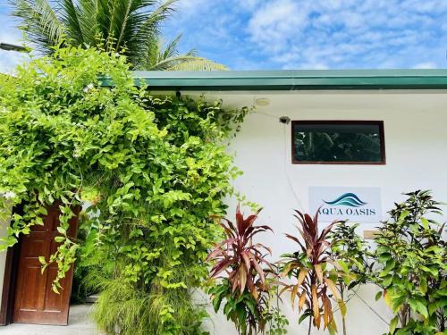 Aqua oasis