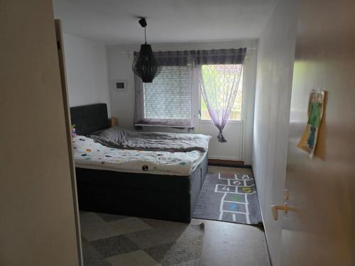 Aslan Home