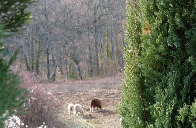 At the foot of the Grand Luberon Sculptor's House