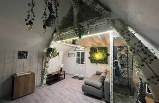 Atypical attic studio with exterior