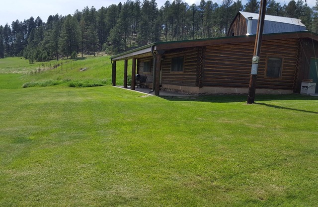 Authentic Black Hills Creekside Cabin