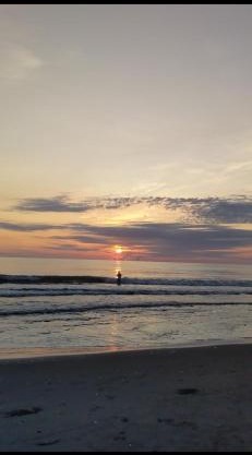 Avistamiento Fauna Flora Caribe