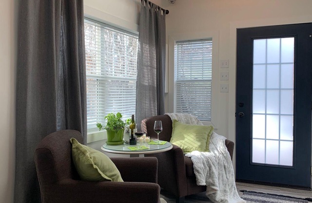 Awesome Downtown Guest Studio