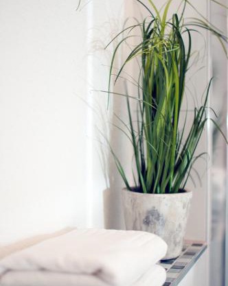 Bärengasse Apartments