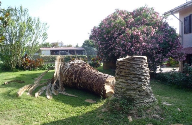 B&B Villa Sans Souci