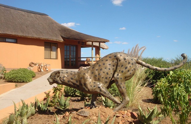 Babson House @ Cheetah Conservation Fund