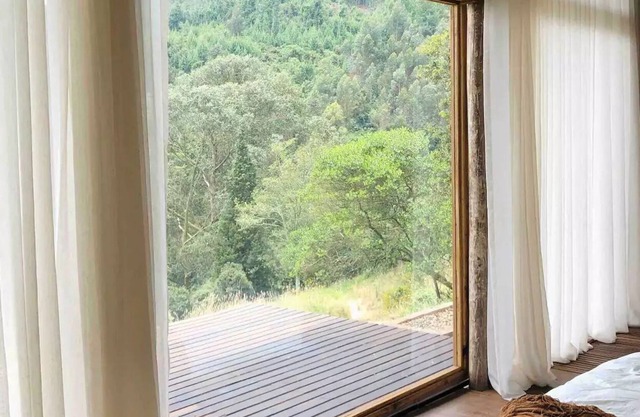 Bahareque * Rodamonte * Jacuzzi