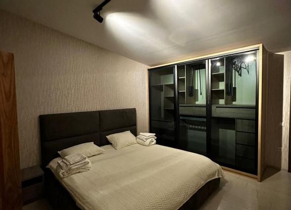 Bakuriani Luxury Ski Residence with Two huge bedrooms