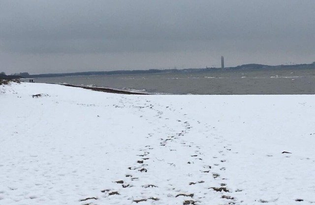 Baltic Seaperle with swimming pool