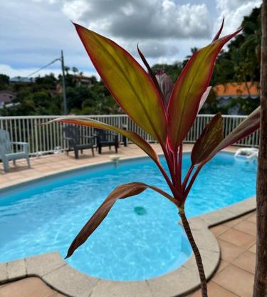 Bas de villa spacieux, proche plages et centre