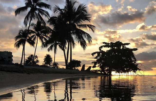 Beachfront condo fully air conditioned w/breathtaking views