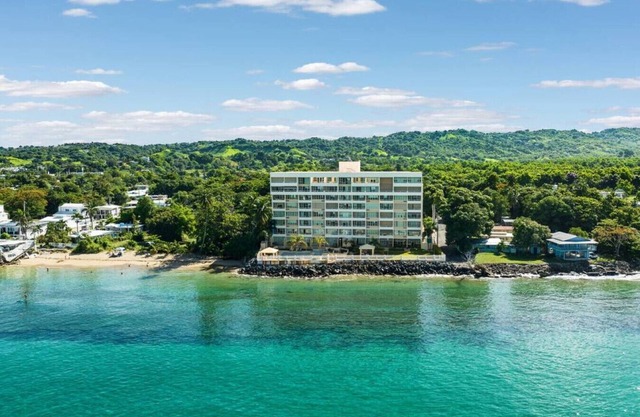 Beachfront Petite Paradise unit at Pelican Reef 103