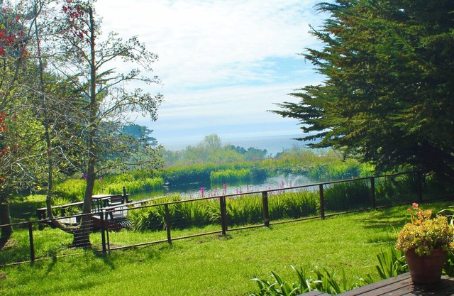 Bean Hollow West Cottage