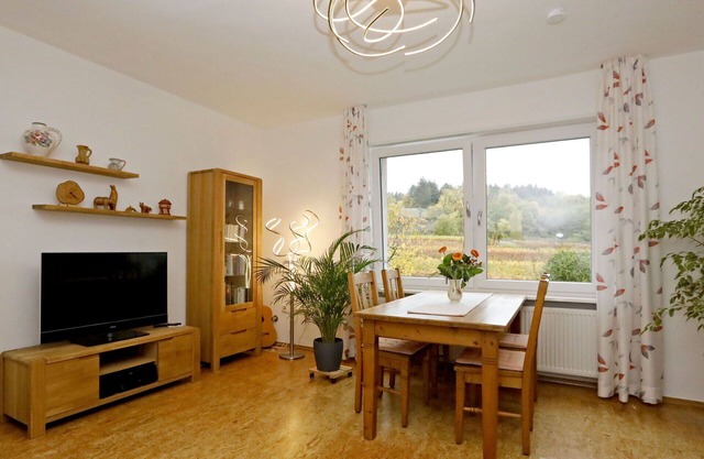 Beautiful apartment for 2 guests with WIFI, TV, terrace, pets allowed and panoramic view