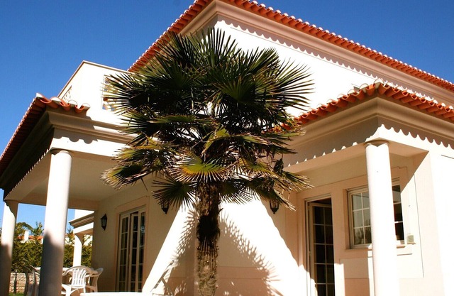 Beautiful and Spacious Ground Floor Apartment