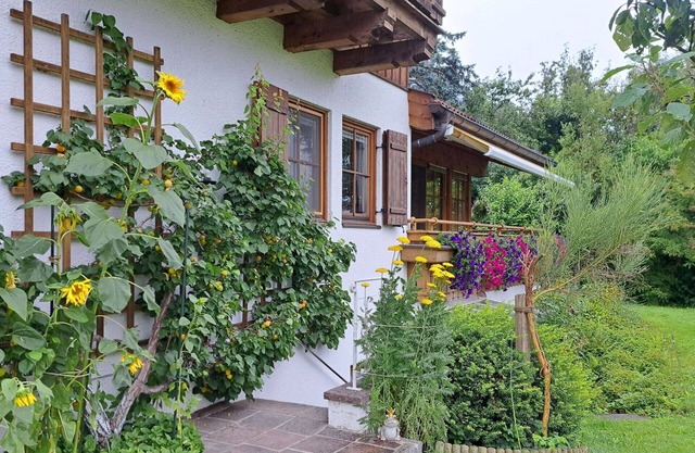 Beautiful apartment for 5 guests with WIFI, TV, patio and pets allowed