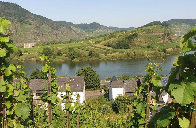 Beautiful apartment in villa for 4 people with WIFI, TV, pets allowed and parking