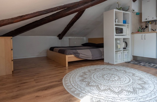 Beautiful attic 200m from Porta Susa