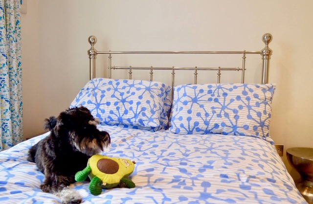 Beautiful Home In Stockbridge, Edinburgh