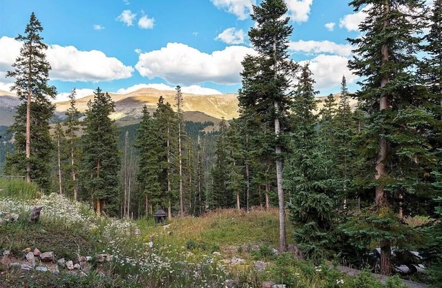 Beautiful home in Blue River steps away from Quandry Peak and Breckenridge