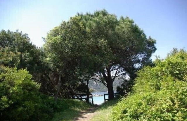 Beautiful house with garden 50 meters from the beach